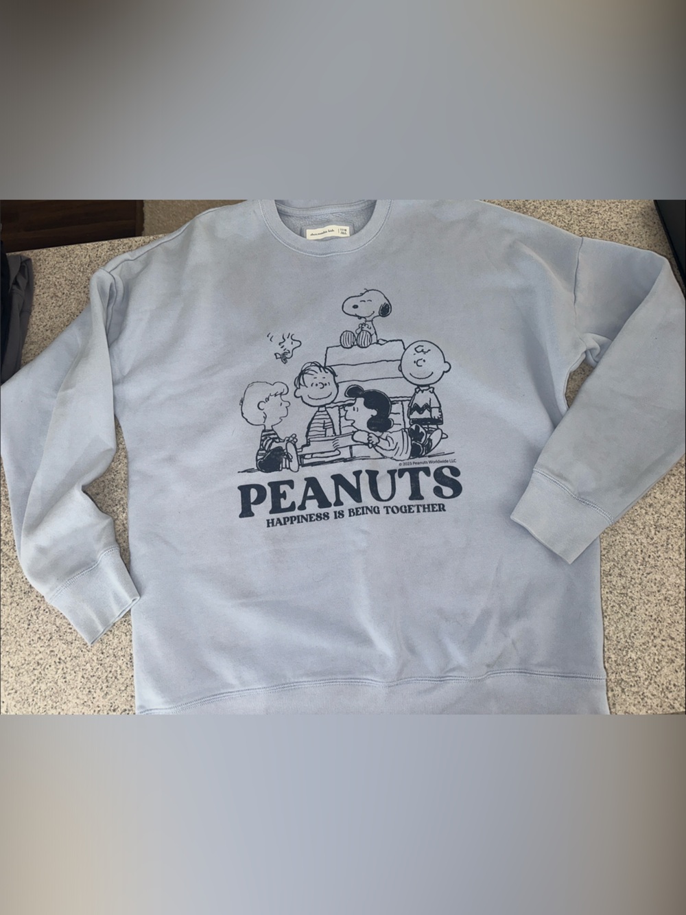 NWOT Abercrombie Kids Peanuts Light Blue Kids Sweatshirt - Graphic Crewneck